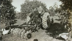 History - Orchard Cultivator